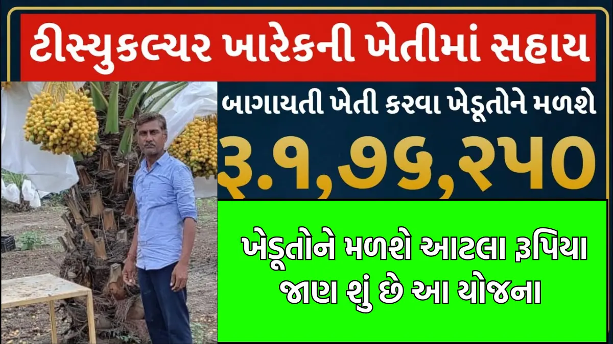 How to apply for kharek subsidy in gujarat